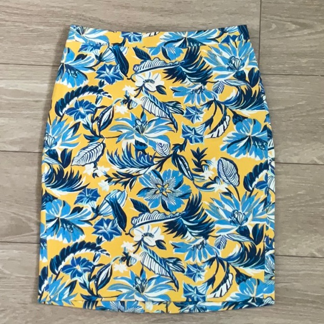 J.Crew Skirt Size 0